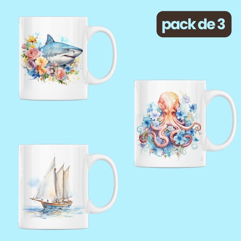 packocean