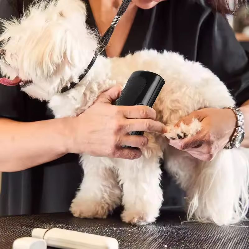 Brosse pour chien (2)