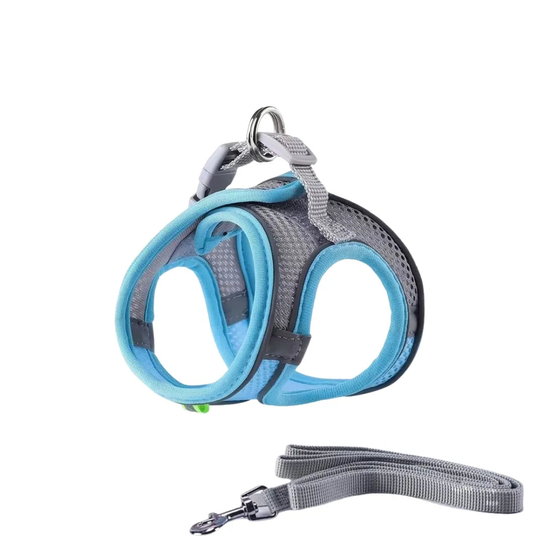 Cat harness
