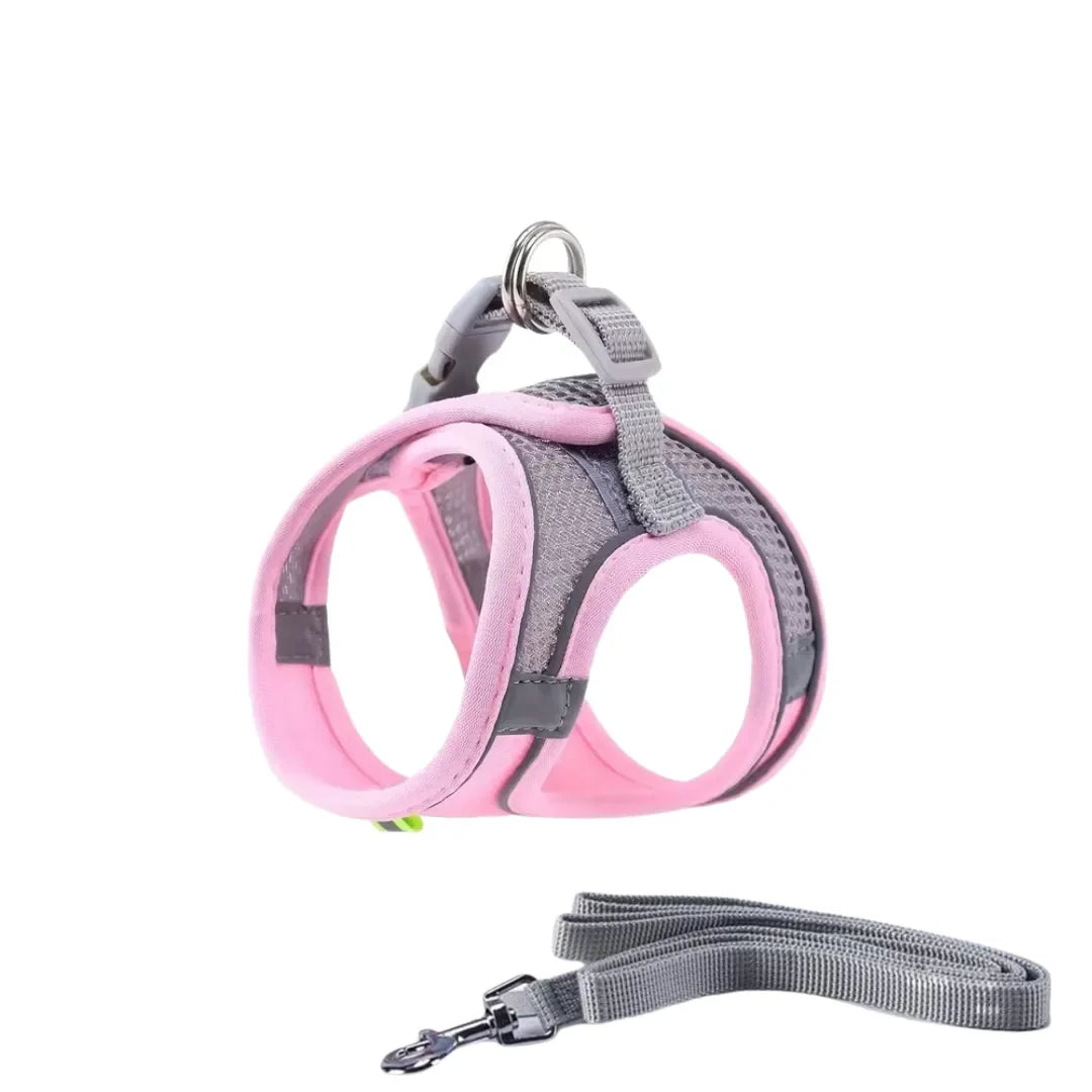 Cat harness
