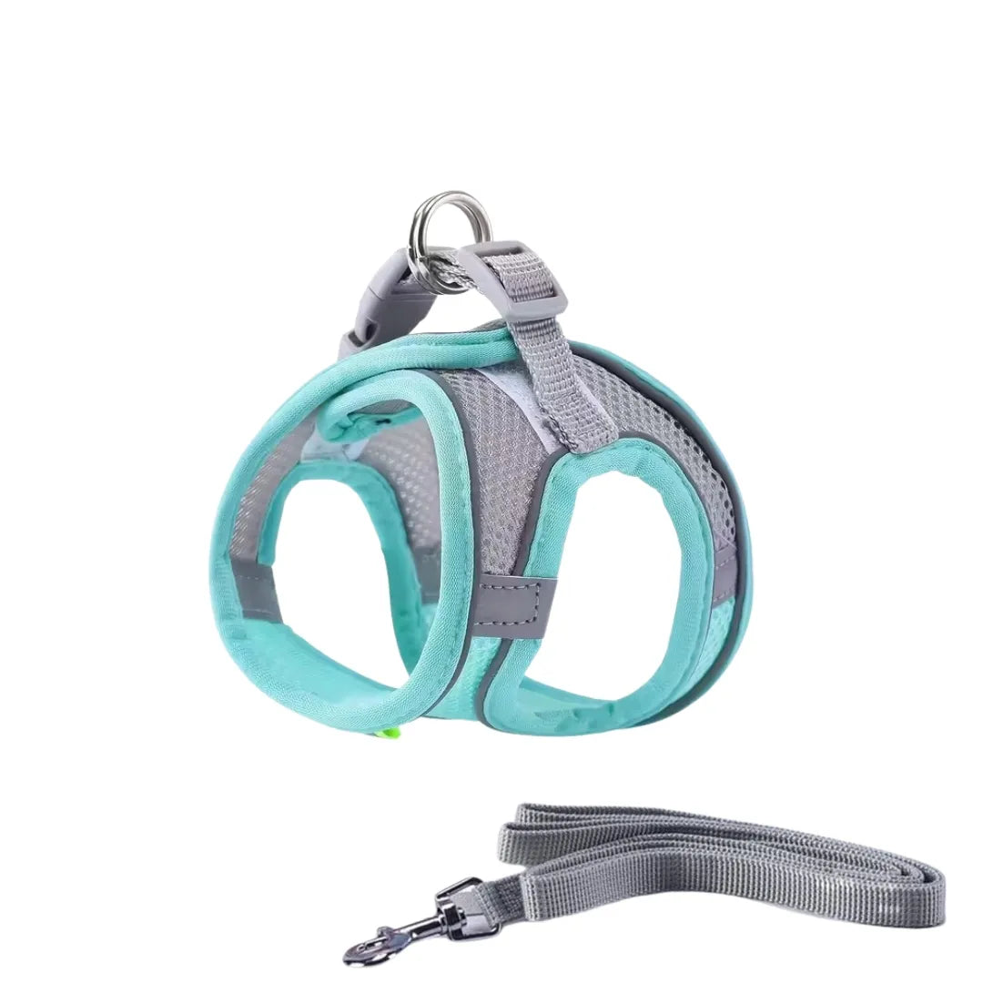 Cat harness