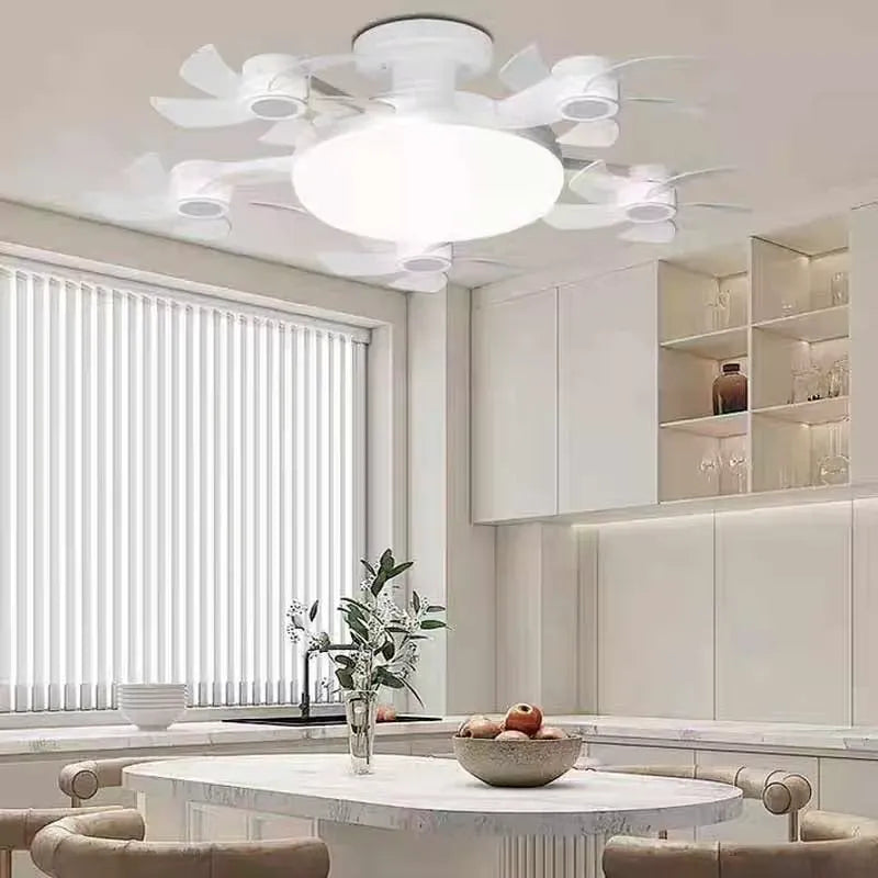 Ceiling fan