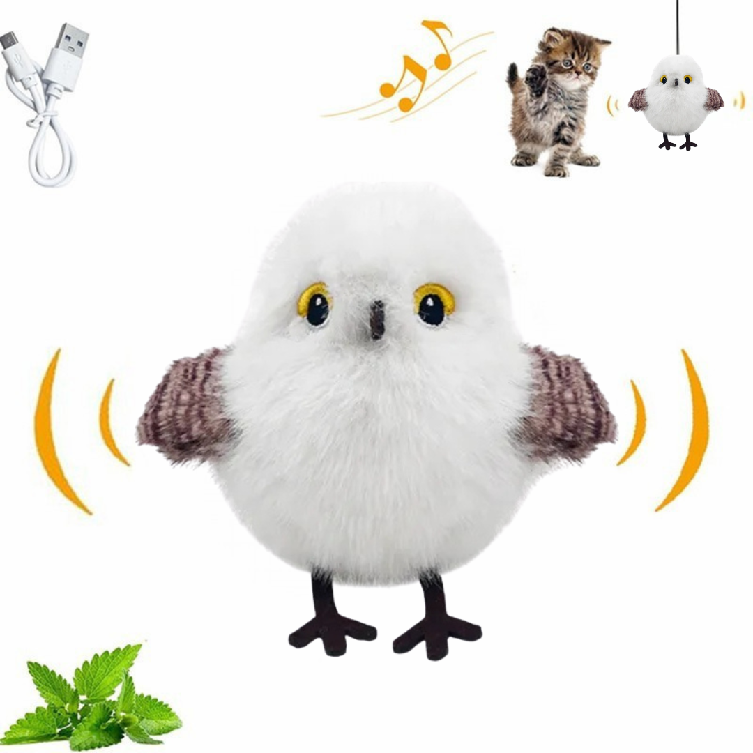 Jouet oiseau (2)
