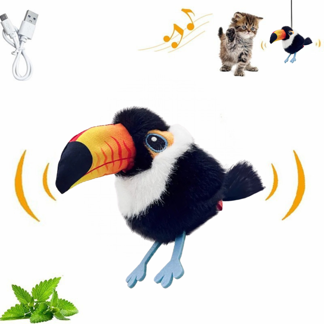 Jouet oiseau (1)
