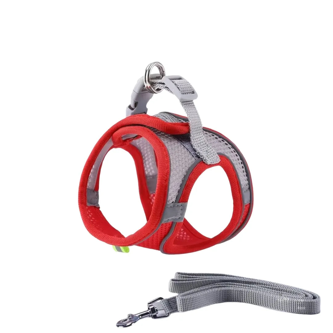 Cat harness