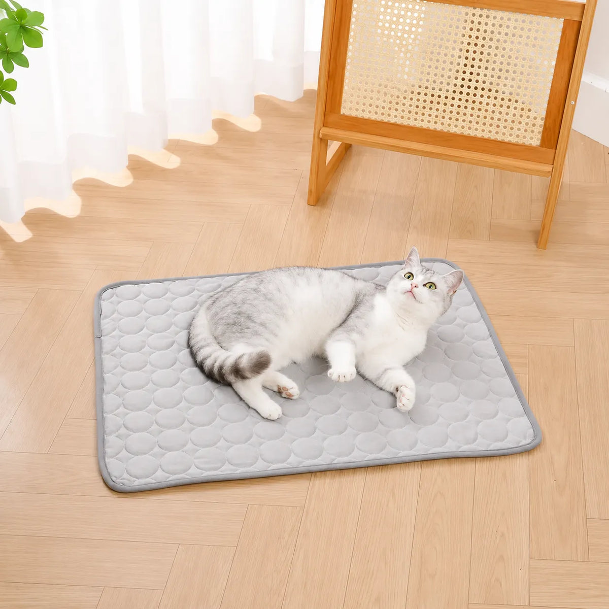 Tapis fraîcheur