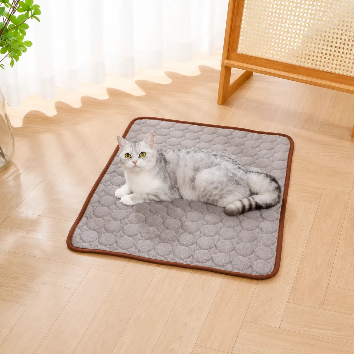 Tapis fraîcheur